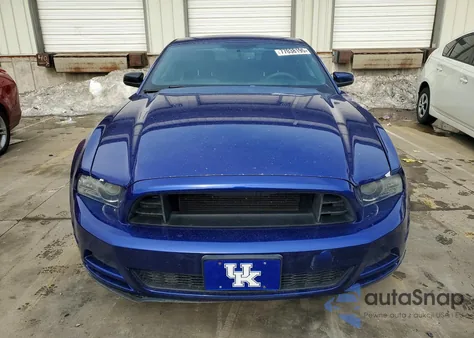 2013 Ford Mustang from USA, damaged, VIN 1ZVBP8AM8D5218858